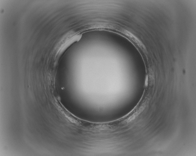 X0000073450993200608041023