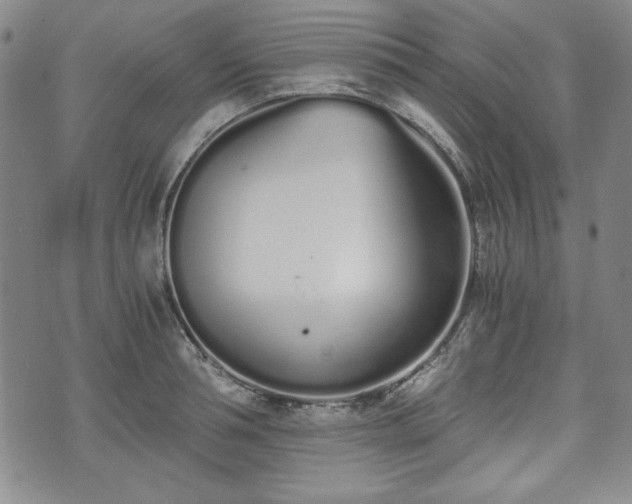 X0000073450994200608041023