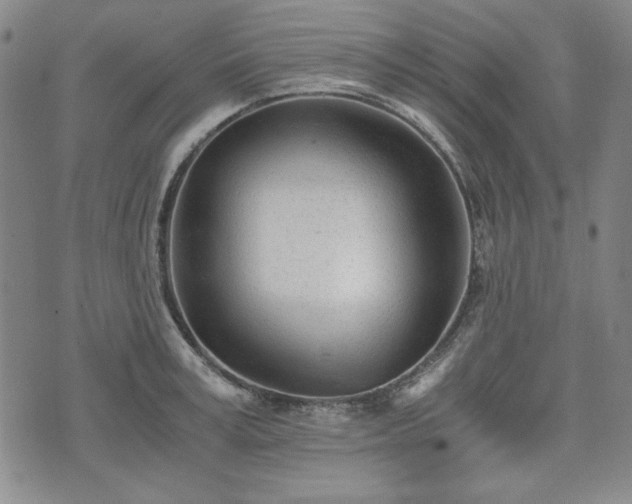 X0000073450995200608041023