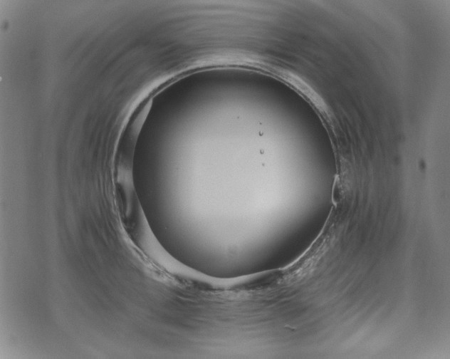 X0000073450996200608041023