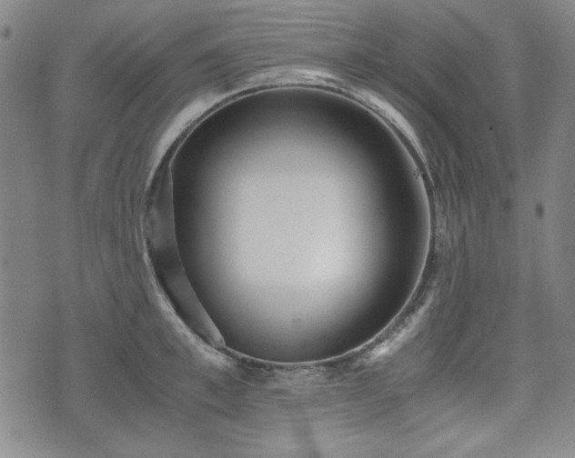 X0000073450997200608041023