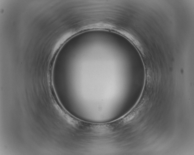 X0000073450998200608041023