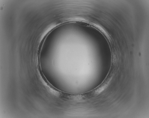 X0000073450999200608041023