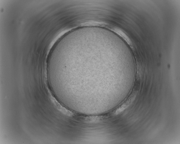 X0000073451000200608041023