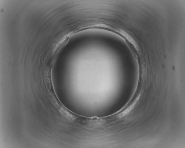 X0000073451001200608041023