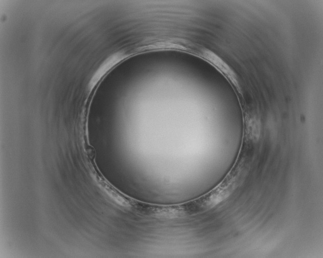 X0000073451002200608041023