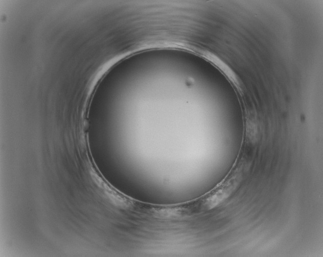 X0000073451004200608041023