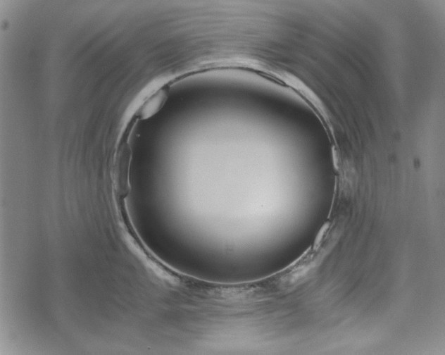 X0000073451005200608041023