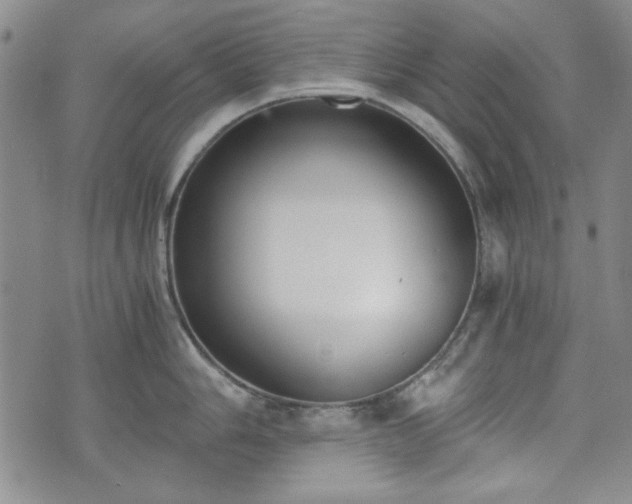 X0000073451006200608041023