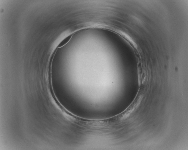 X0000073451007200608041023