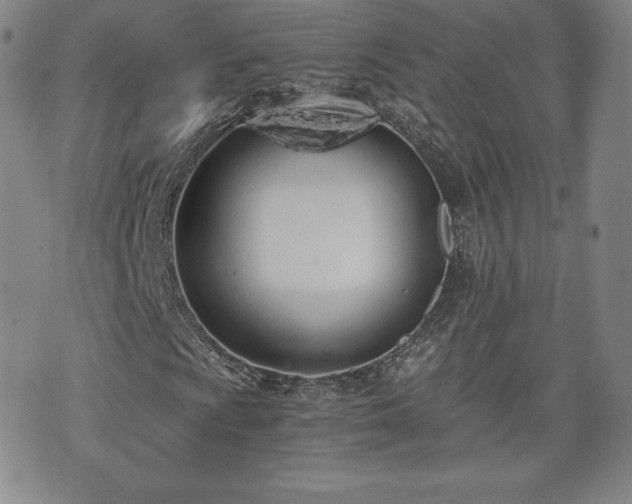 X0000073451009200608041022