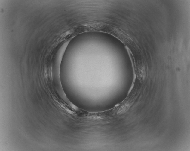 X0000073451010200608041022