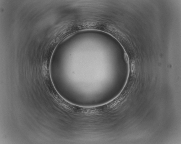 X0000073451011200608041022