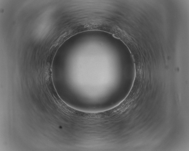 X0000073451012200608041022