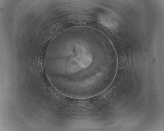 X0000073451013200608041022