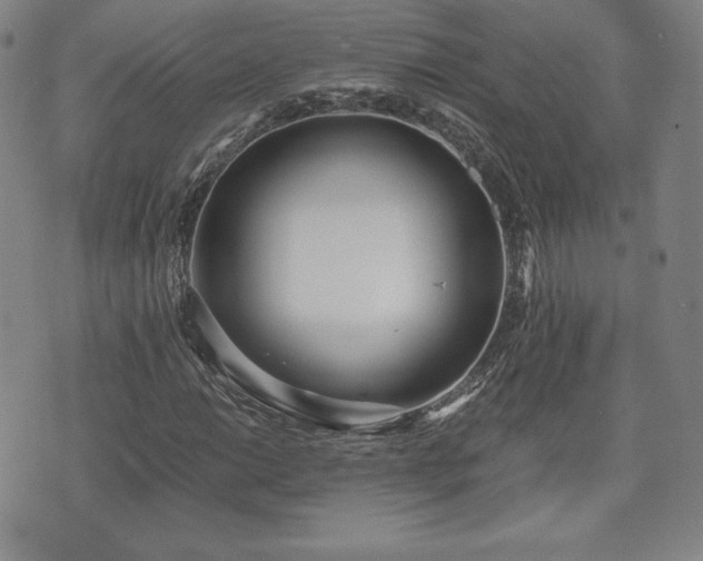 X0000073451014200608041022