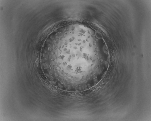 X0000073451015200608041022