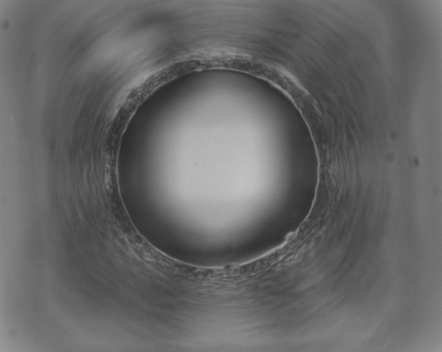 X0000073451016200608041022