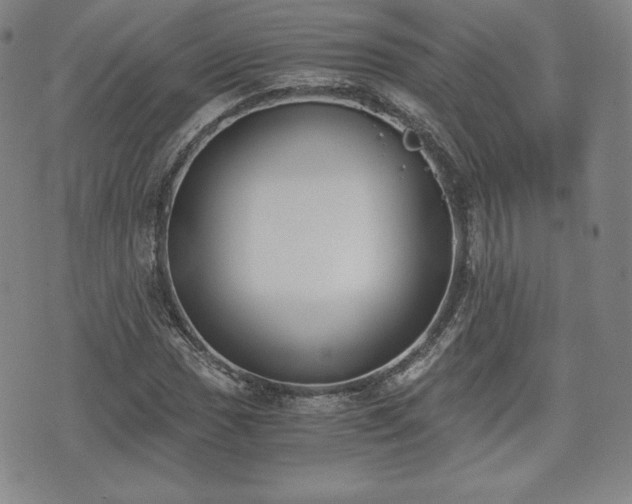 X0000073451017200608041022