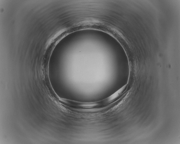 X0000073451018200608041022