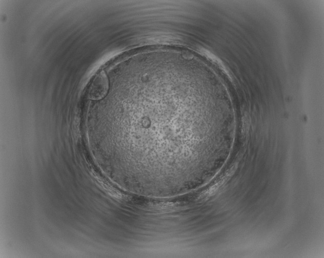 X0000073451019200608041022