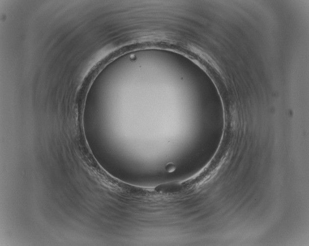 X0000073451021200608041022