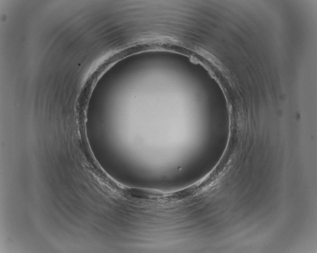 X0000073451022200608041022