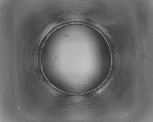 X0000073451023200608041022