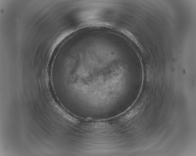 X0000073451024200608041022