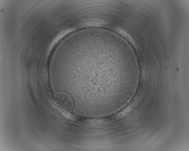 X0000073451027200608041022