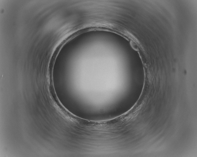 X0000073451028200608041022