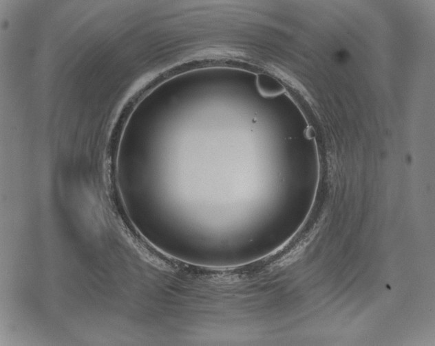 X0000073451029200608041022