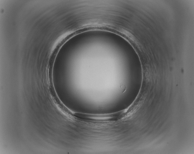 X0000073451030200608041022