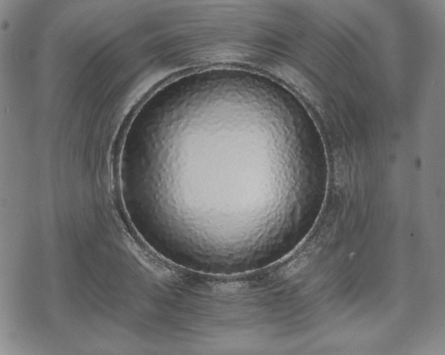 X0000073451031200608041022