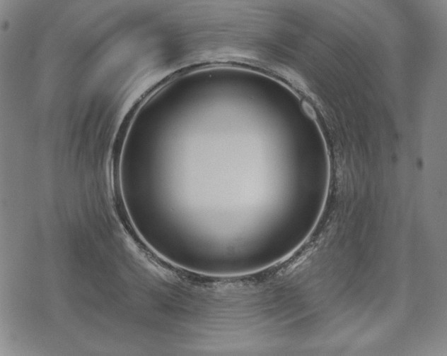 X0000073451032200608041022