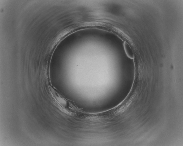 X0000073451033200608041022