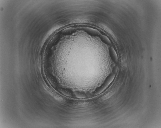 X0000073451035200608041022