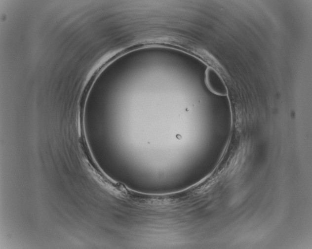 X0000073451036200608041022