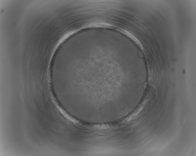 X0000073451037200608041022