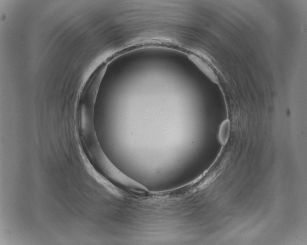 X0000073451038200608041022