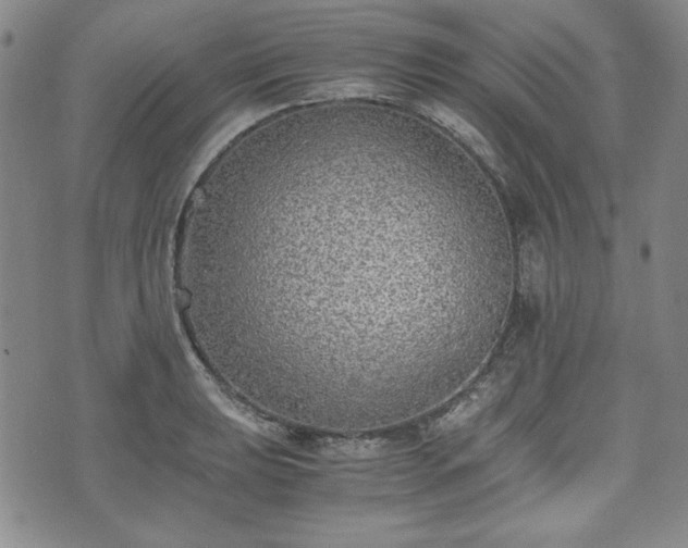 X0000073451039200608041022