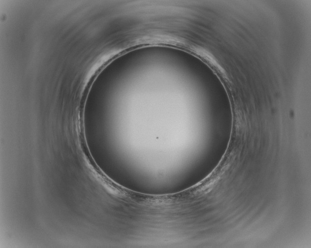 X0000073451040200608041022