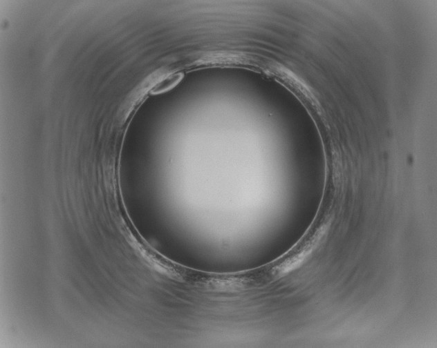 X0000073451041200608041022