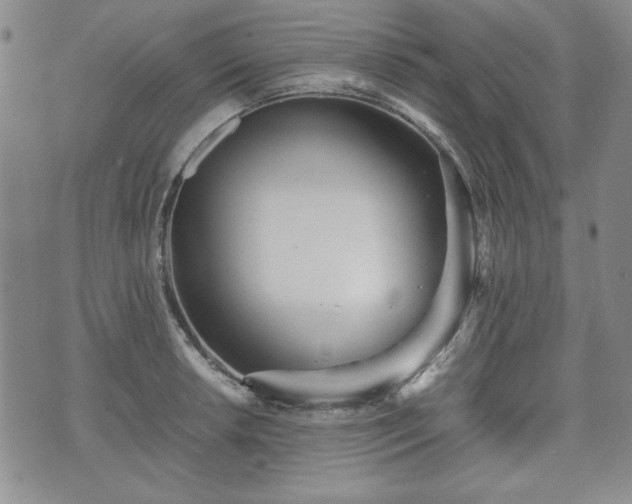 X0000073451042200608041023