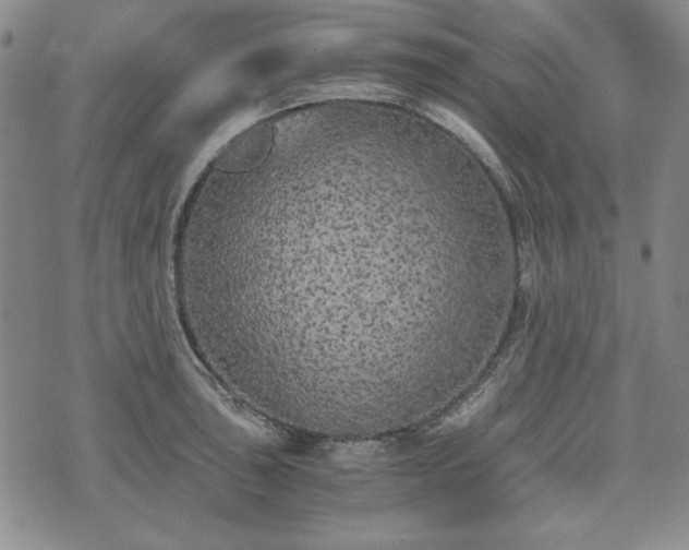 X0000073451043200608041023