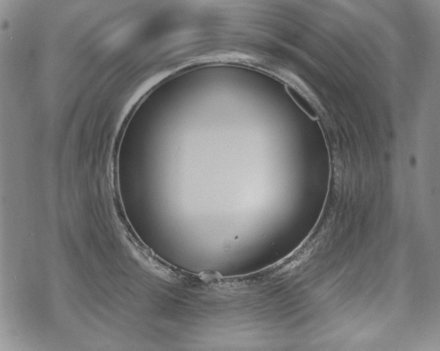 X0000073451044200608041023