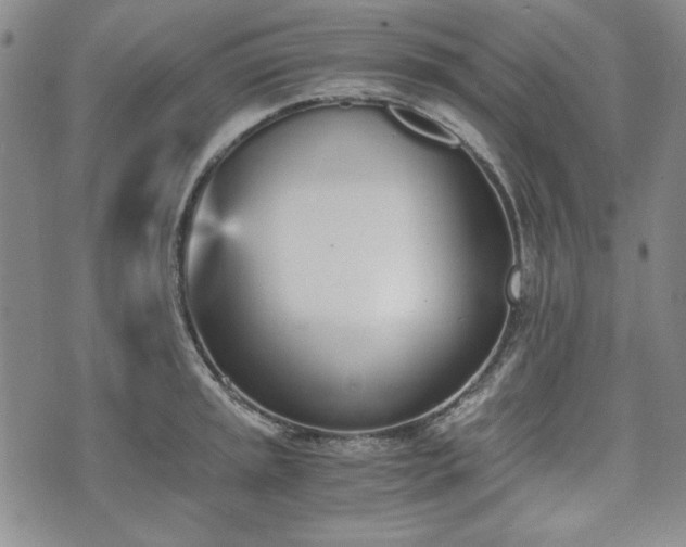 X0000073451045200608041023