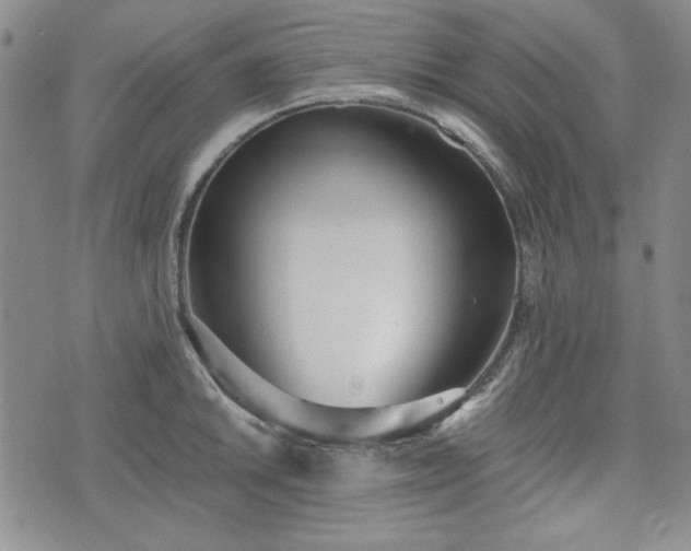 X0000073451046200608041023