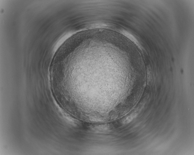 X0000073451047200608041023