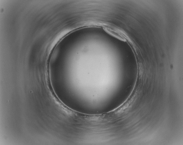 X0000073451048200608041023